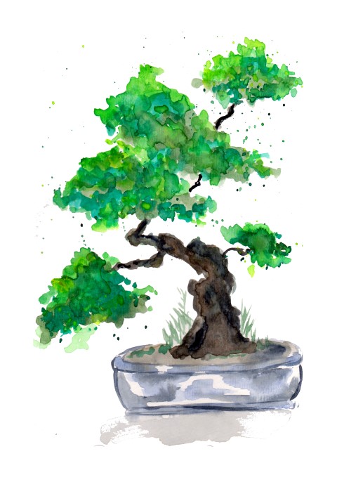Green Bonsai Watercolor