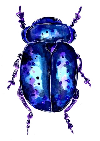 traditional watercolor painting of a blue and purple colored beetle